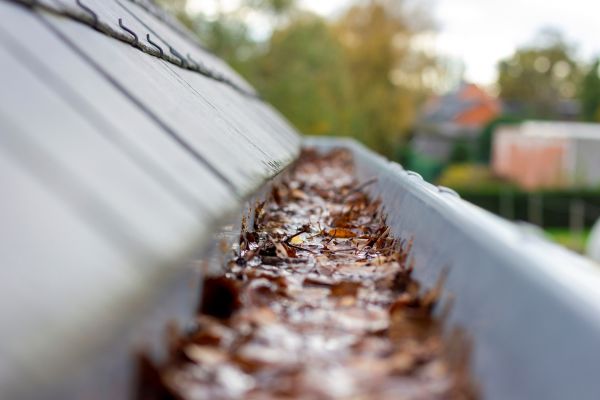 Cost of Commercial Gutter Cleaning in Knoxville