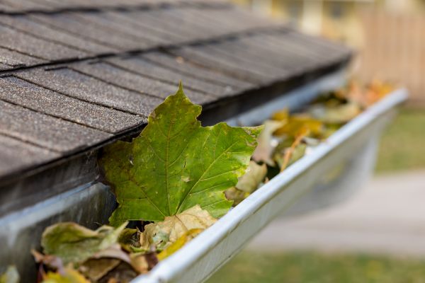 Cost of Gutter System Cleaning in Knoxville