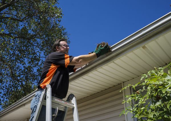 Cost of Building Gutter Cleaning in Knoxville