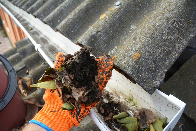 Commercial Gutter Maintenance detail