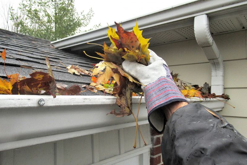 Clogged Gutter Blockage