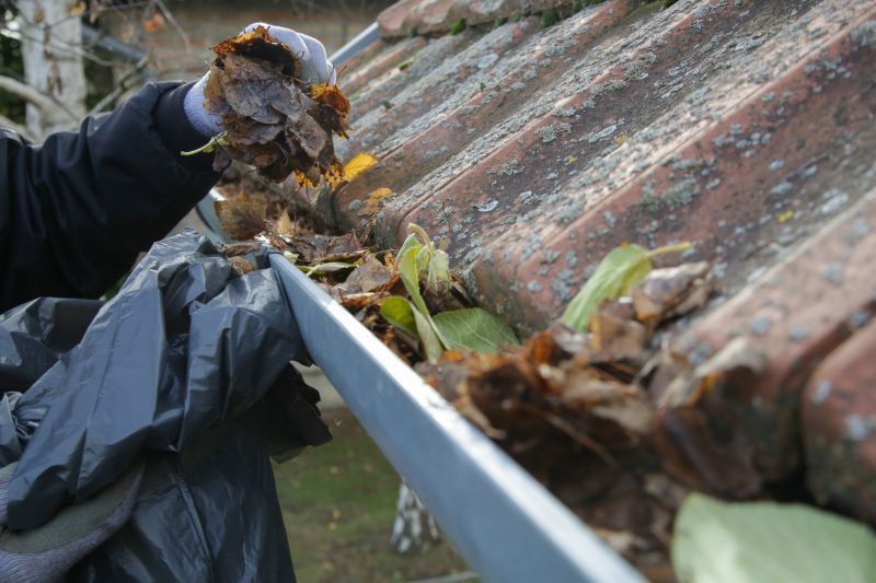 Debris Bag Filled with Leaves