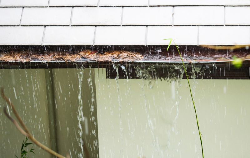 Clogged Gutter Problems