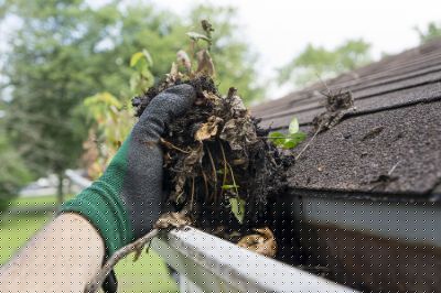 Roof Gutter Debris Removal
